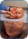 Tummy Tub Bade-Eimer